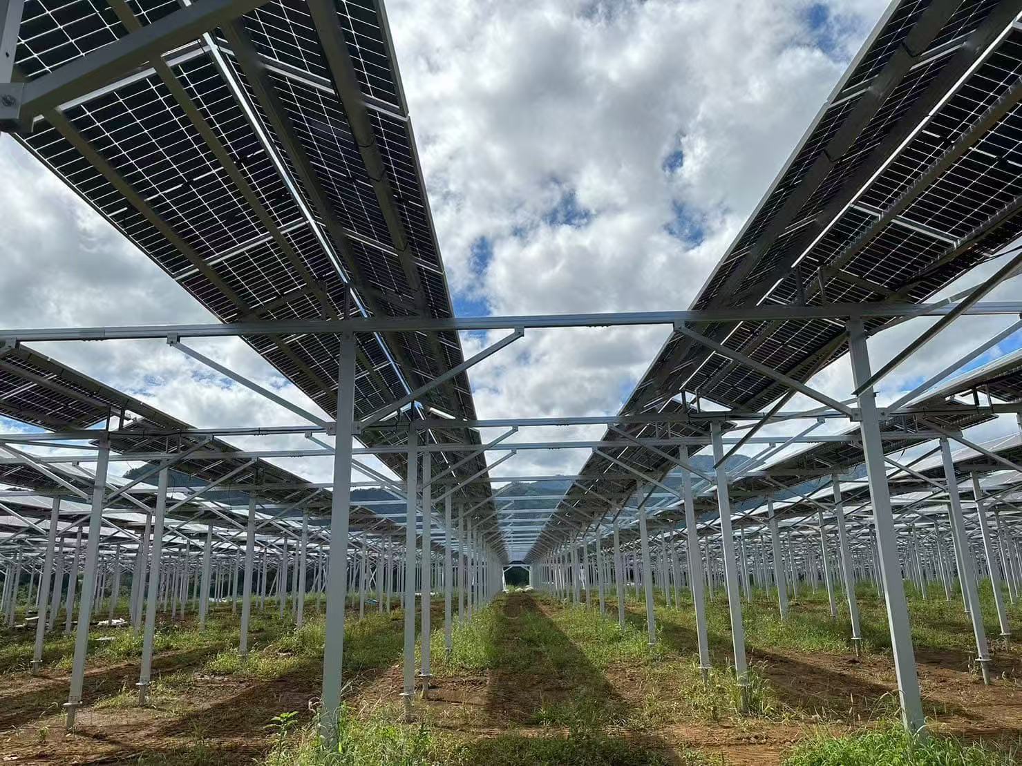 Mga bentahe ng suporta sa agrikultura